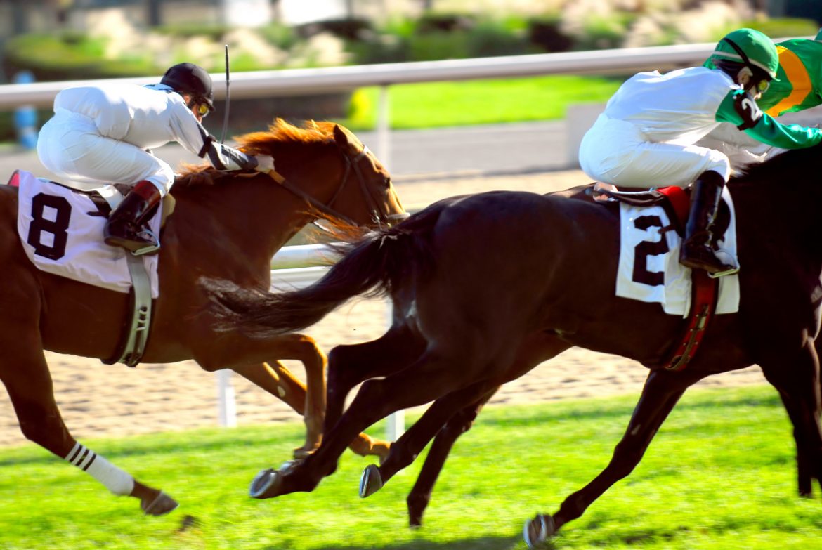 haskell stakes 2021 haskell stakes 2021